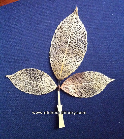 photo engraving gold leaf