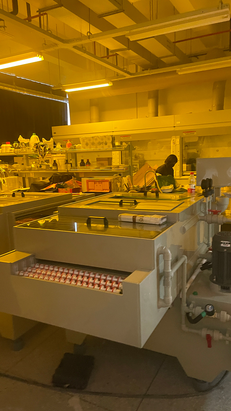 PCB DES(Developing,Etching,Stripping) machine